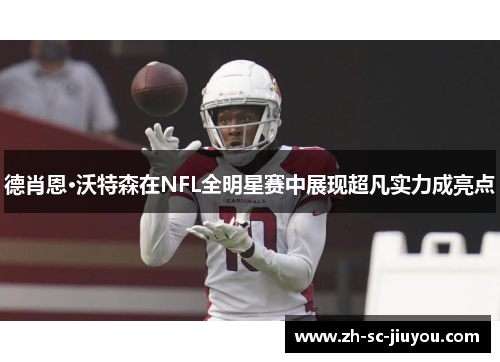 德肖恩·沃特森在NFL全明星赛中展现超凡实力成亮点 德肖恩·沃特森在NFL全明星赛中展现超凡实力成亮点